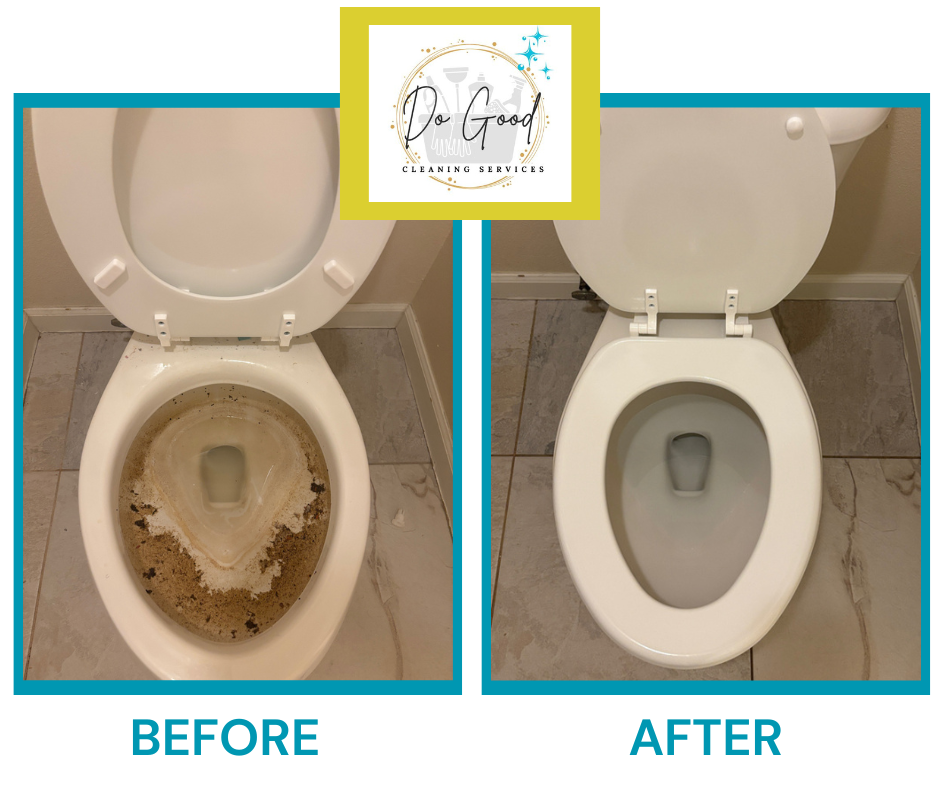 Toilet before and after a thorough scrub and sanitize